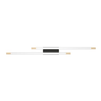 Eglo - Iluminação de teto LED com regulação 2xLED/10W/230V