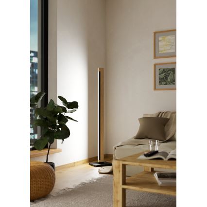 Eglo - LED Regulação táctil candeeiro de chão CAMACHO LED/22W/230V