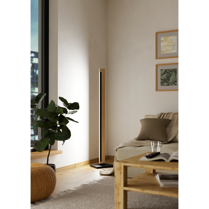 Eglo - LED Regulação táctil candeeiro de chão CAMACHO LED/22W/230V