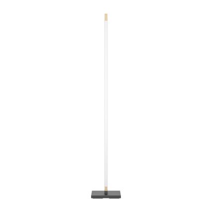 Eglo - LED Regulação táctil candeeiro de chão CAMACHO LED/22W/230V