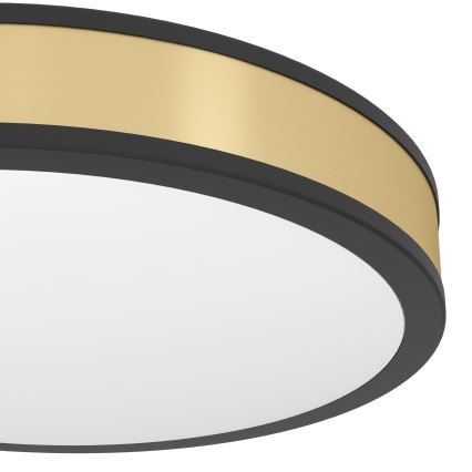 Eglo - Luz de teto LED LED/24W/230V