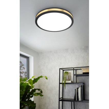 Eglo - Luz de teto LED LED/24W/230V