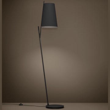 Eglo - Candeeiro de chão 1xE27/40W/230V preto