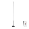 Eglo - Candeeiro de chão LED com regulação  LED/14W/230V 2700-6500K + controlo remoto