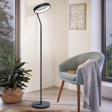 Eglo - Candeeiro de chão LED RGB com regulação MARGHERA-C LED/16W/230V