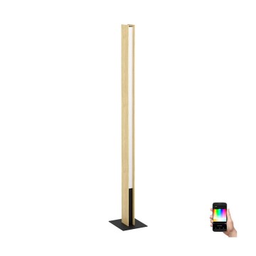 Eglo - Candeeiro de chão LED RGBW com regulação LED/35W/230V 2700-6500K