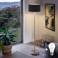 Eglo - Candeeiro de chão LED TUNJA 1xE27/60W/230V cromado mate/preto