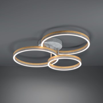 Eglo - Candeeiro integrado LED com regulação LED/12,5W/230V + 2xLED/15,5W 3000K cinzento/castanho