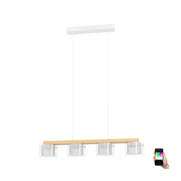 Eglo - Candeeiro suspenso LED RGBW com regulação 4xLED/3,7W/230V 2700-6500K