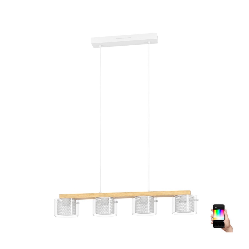 Eglo - Candeeiro suspenso LED RGBW com regulação 4xLED/3,7W/230V 2700-6500K