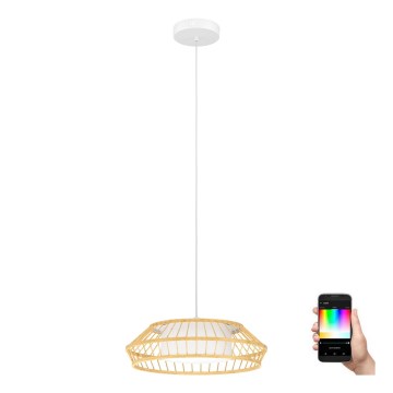 Eglo - Candeeiro suspenso LED RGBW com regulação LED/22W/230V 2700-6500K