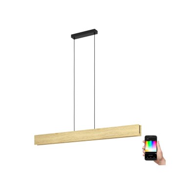 Eglo - Candeeiro suspenso LED RGBW com regulação LED/35W/230V 2700-6500K