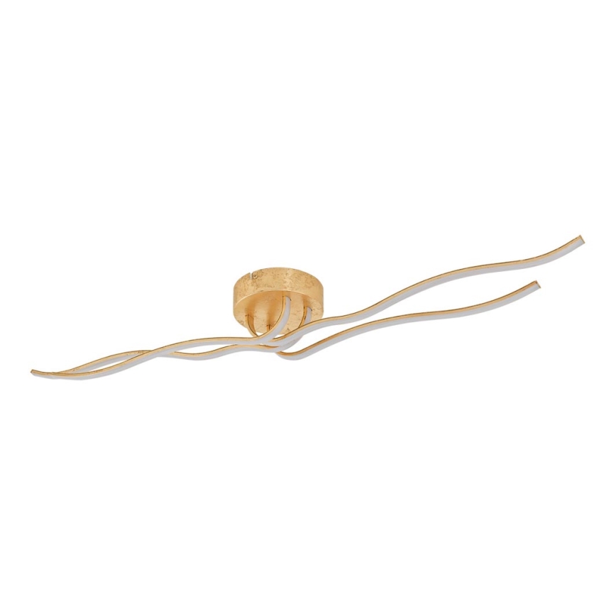 Eglo - Candelabro integrado LED 4xLED/9W/230V