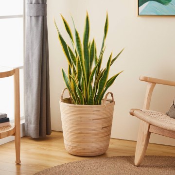 Eglo - Cesto decorativo 41x36 cm bege