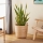 Eglo - Cesto decorativo 41x36 cm bege