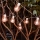 Eglo - Corrente decorativa exterior LED 16xLED/0,064W/24V IP44 branco