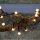 Eglo - Corrente exterior de Natal LED 300xLED/8 funções 11m IP44 branco quente