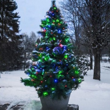 Eglo - Corrente exterior de Natal LED LED 160xLED 2m IP44 multicolor