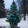 Eglo - Corrente exterior de Natal LED LED 160xLED 2m IP44 multicolor