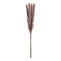 Eglo - Flor seca 60 cm roxo