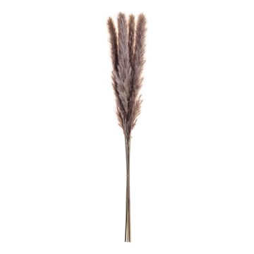 Eglo - Flor seca 60 cm roxo