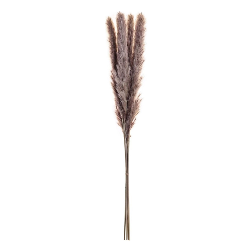 Eglo - Flor seca 60 cm roxo