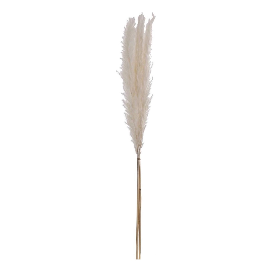 Eglo - Flor seca 70 cm branco