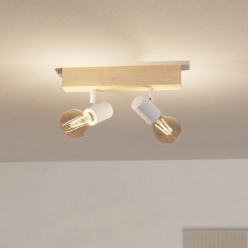 Eglo - Foco TOWNSHEND 2xE27/60W/230V - FSC certificado