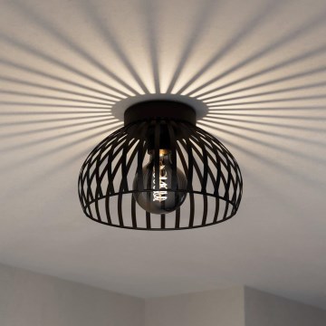 Eglo - Iluminação de teto 1xE27/40W/230V diâmetro 28 cm