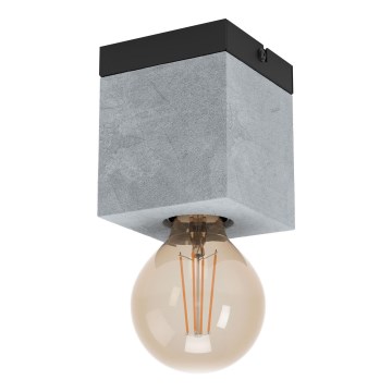 Eglo - Iluminação de teto 1xE27/40W/230V