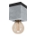 Eglo - Iluminação de teto 1xE27/40W/230V