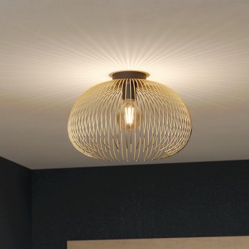 Eglo - Iluminação de teto 1xE27/40W/230V