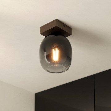 Eglo - Iluminação de teto 1xE27/40W/230V