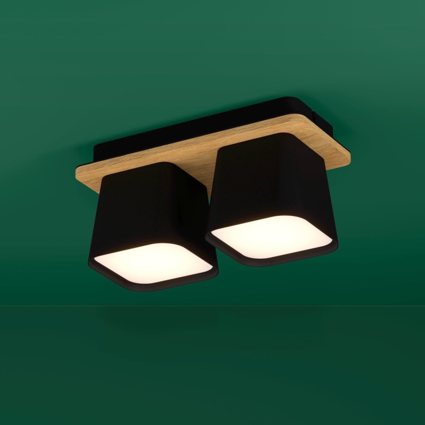 Eglo - Iluminação de teto 2xE27/40W/230V preto/castanho