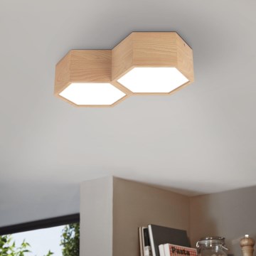 Eglo - Iluminação de teto 2xE27/9W/230V
