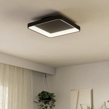 Eglo - Iluminação de teto LED com regulação LED/12W/230V 2700-6500K preto + comando