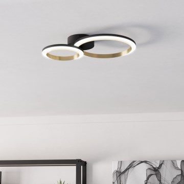 Eglo - Iluminação de teto LED com regulação LED/12W/230V 4000K preto/dourado