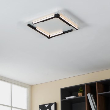 Eglo - Iluminação de teto LED com regulação LED/25W/230V 3000K