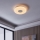 Eglo - Iluminação de teto LED com regulação  LED/44,8W/230V 2700-6500K ZigBee