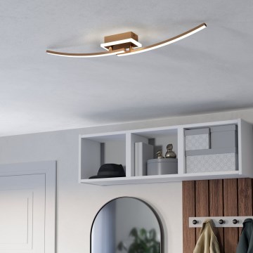 Eglo - Iluminação de teto LED LED/12W/230V 4000K cobre