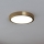 Eglo - Iluminação de teto LED LED/17W/230V diâmetro 21 cm