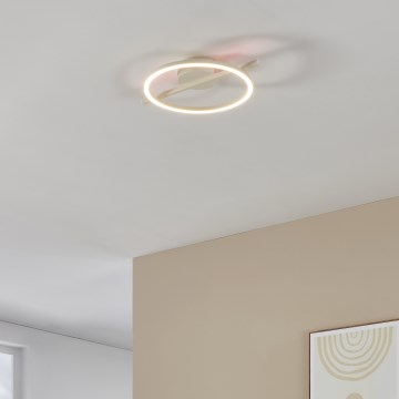 Eglo - Iluminação de teto LED RGBW com regulação LED/17W/230V 2700-6500K branco + comando