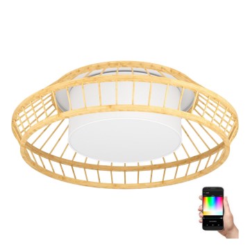 Eglo - Iluminação de teto LED RGBW com regulação LED/22W/230V 2700-6500K