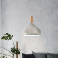Eglo - Iluminação suspensa 1xE27/60W/230V d. 28 cm prateado