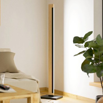 Eglo - LED Regulação táctil candeeiro de chão CAMACHO LED/22W/230V