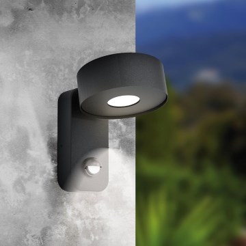 Eglo - Luz de parede exterior com sensor LED LED/6W/230V IP44