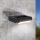 Eglo - Luz de parede LED de exterior LED/4,8W/230V IP44