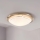 EGLO - Luz de teto 1xE27/60W