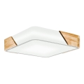 Eglo - Luz de teto 2xE27/28W/230V