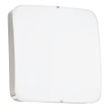 Eglo - Luz de teto LED LED/11W/230V